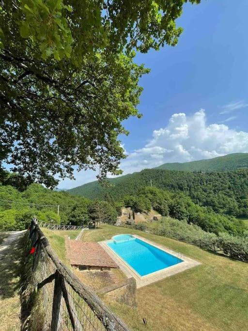 Il Colle - Apartment Pino Firenze Esterno foto